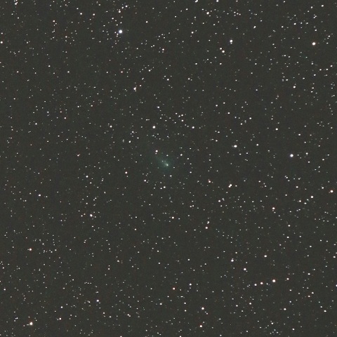 12/30未明 ハインズ彗星（C/2017 T1）