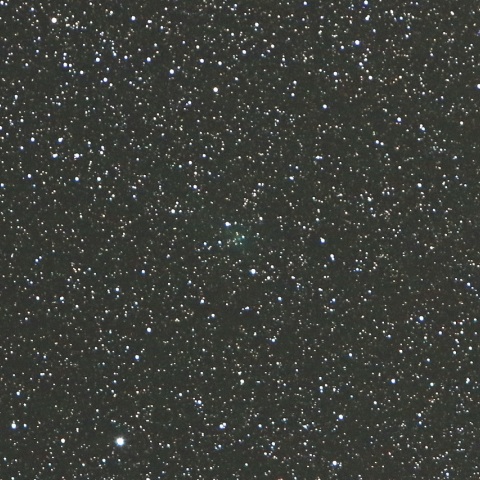 1/12 ハインズ彗星(C/2017 T1)