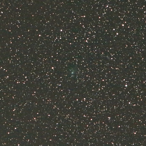 4/21未明 初見初撮りのパンスターズ彗星（C/2016 M1）