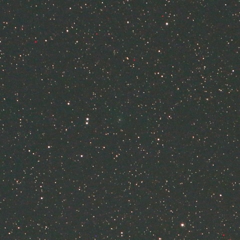 4/28未明 満月2日前のパンスターズ彗星（C/2016 M1）