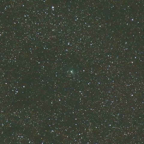 7/19未明 初見初撮りのジャコビニ・チンナー彗星（21P）