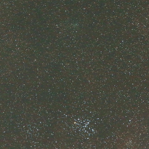 8/1未明 ネオワイズ彗星（C/2018 N1）その1