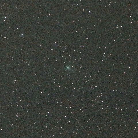 8/3 ジャコビニ・チンナー彗星（21P）