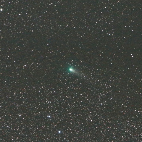 8/13未明 ジャコビニ・チンナー彗星（21P）