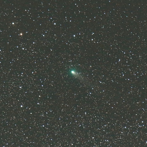 8/17未明 ジャコビニ・チンナー彗星（21P）その1