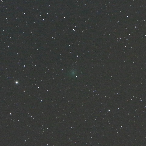 10/16未明 初見初撮りのウィルタネン彗星（46P）