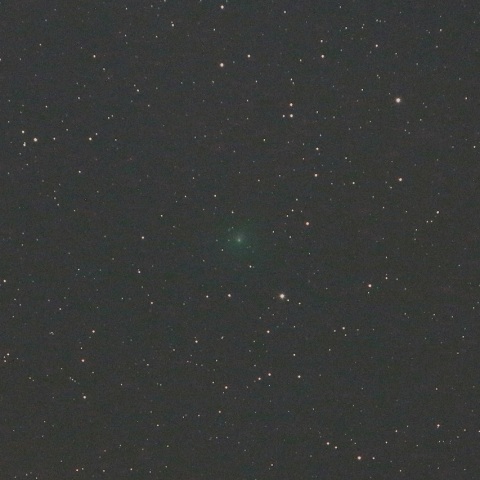 10/29 ウィルタネン彗星（46P）