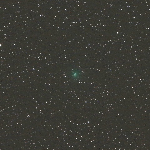 11/1 初見初撮りのスイフト・ゲーレルス彗星（64P）その2