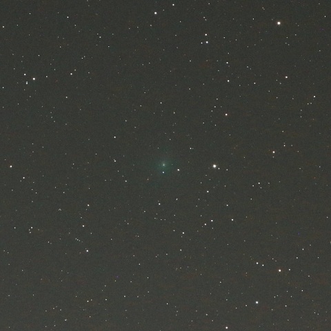 11/1 ウィルタネン彗星（46P）