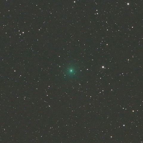 11/4 太平洋上のウィルタネン彗星（46P）