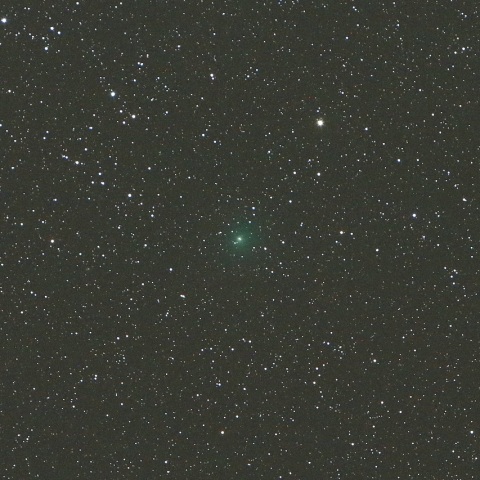 11/6 スイフト・ゲーレルス彗星（64P）その2