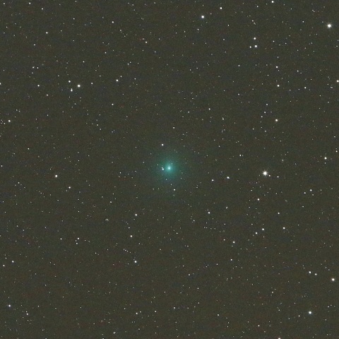 11/6 太平洋上のウィルタネン彗星（46P）