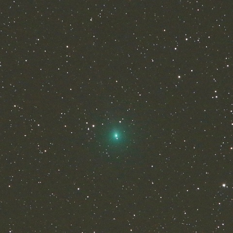 11/10 ウィルタネン彗星（46P）