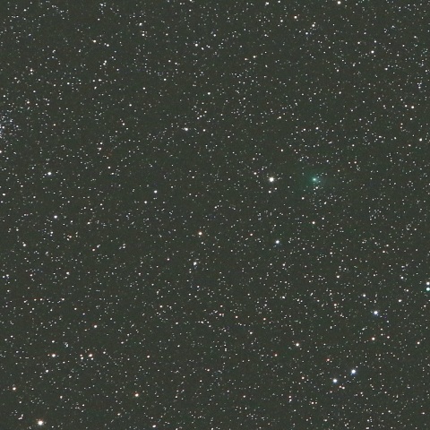 11/11未明 ステファン・オテルマ彗星（38P）