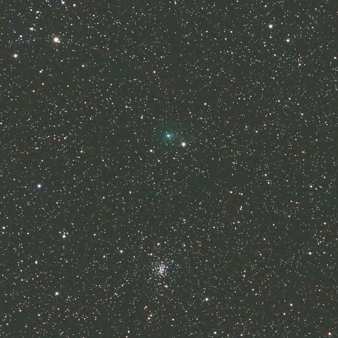 11/14未明 ステファン・オテルマ彗星（38P）