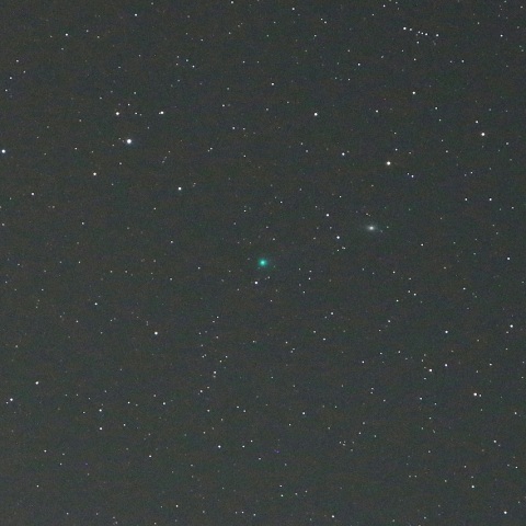 11/14未明 初見初撮りのマックホルツ・藤川・岩本彗星（C/2018 V1）