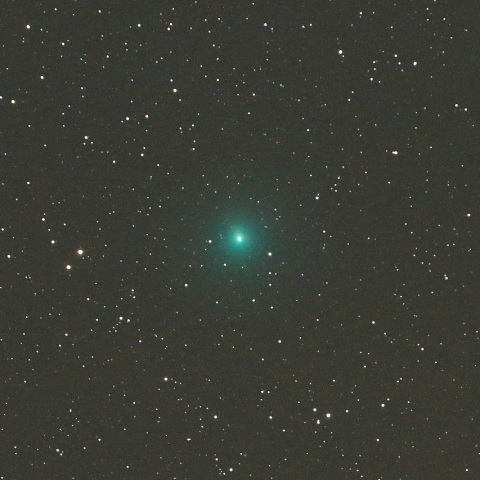 11/14 ウィルタネン彗星（46P）