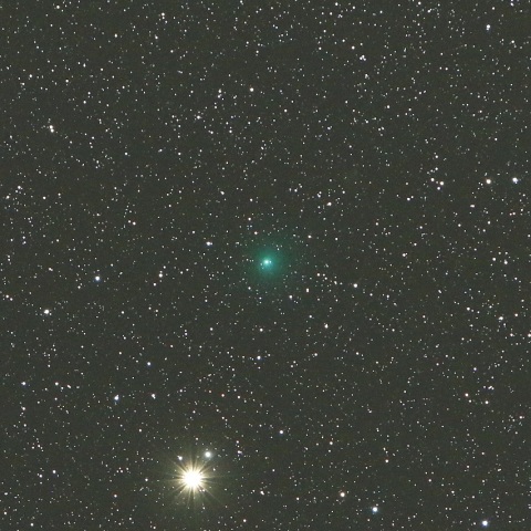 11/15未明 スイフト・ゲーレルス彗星（64P）