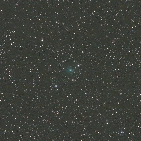 11/20未明 ステファン・オテルマ彗星（38P）