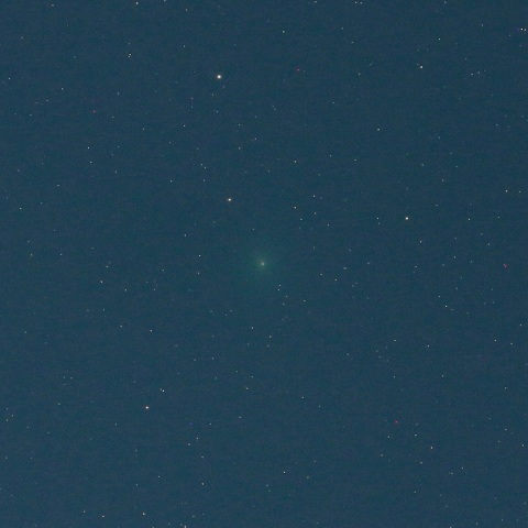 11/24 満月翌日のウィルタネン彗星（46P）