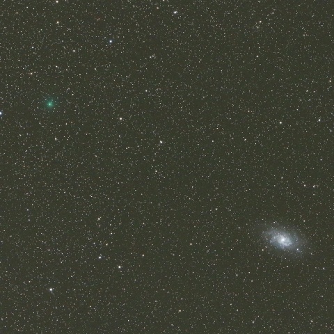 11/29 スイフト・ゲーレルス彗星（64P）その1