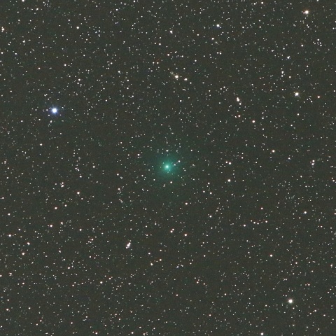 11/29 スイフト・ゲーレルス彗星（64P）その2