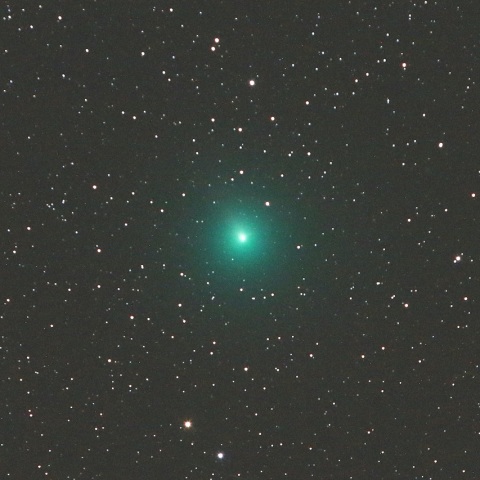 11/29 ウィルタネン彗星（46P）