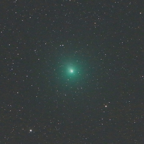 12/5 ウィルタネン彗星（46P）