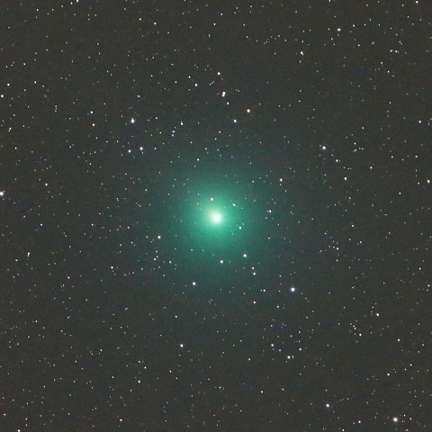 12/10 ウィルタネン彗星（46P）その1