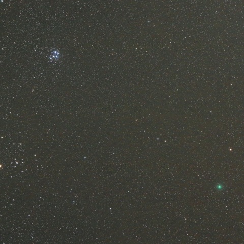 12/10 ウィルタネン彗星（46P）その2