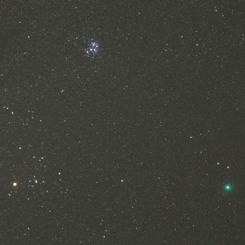 12/12 ウィルタネン彗星（46P）その1