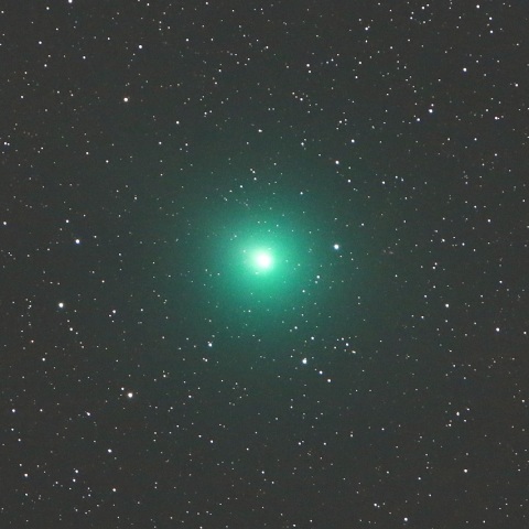 12/12 ウィルタネン彗星（46P）その3