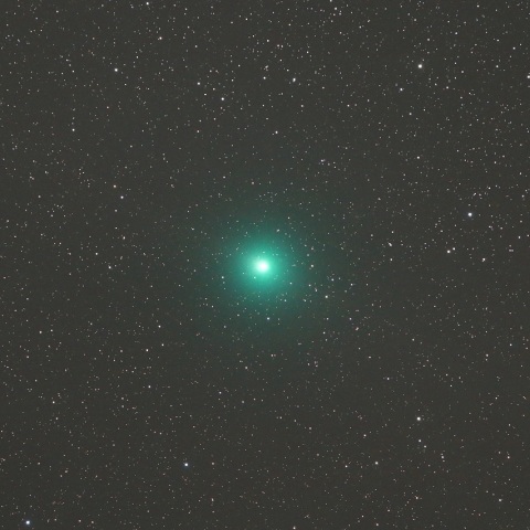 12/14 ウィルタネン彗星（46P）その1