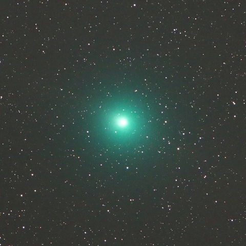 12/14 ウィルタネン彗星（46P）その2