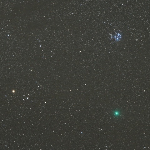 12/14 ウィルタネン彗星（46P）その3