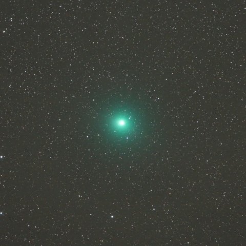 12/16未明 ウィルタネン彗星（46P）その1