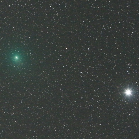 12/24 ウィルタネン彗星（46P）その2