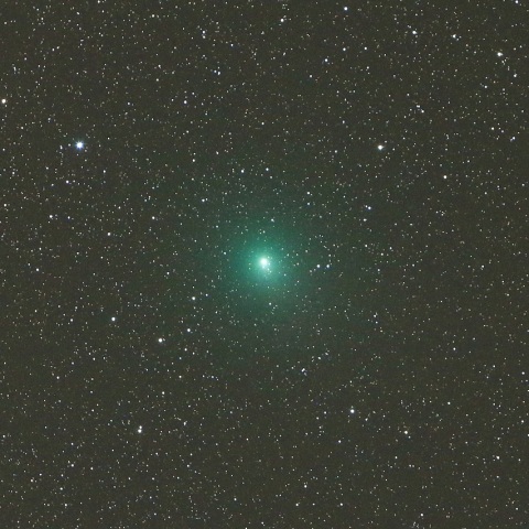 12/25 ウィルタネン彗星（46P）