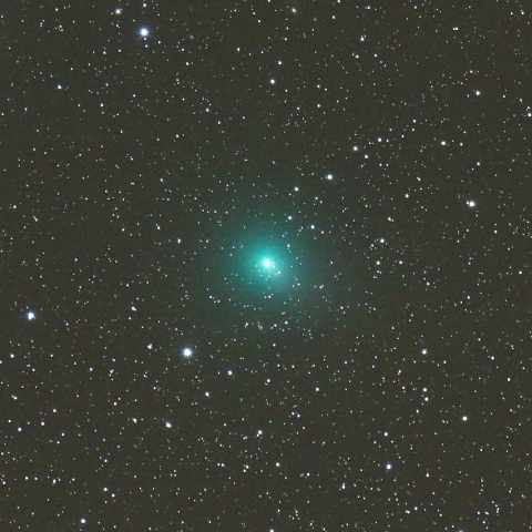 1/7未明 ウィルタネン彗星（46P）