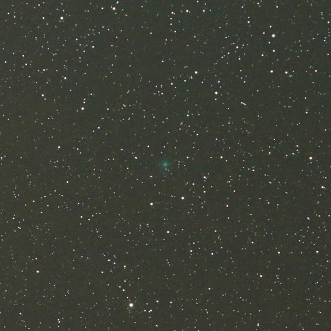 1/7未明 初見初撮りの岩本彗星（C/2018 Y1）