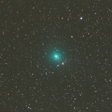 1/14未明 ウィルタネン彗星（46P）