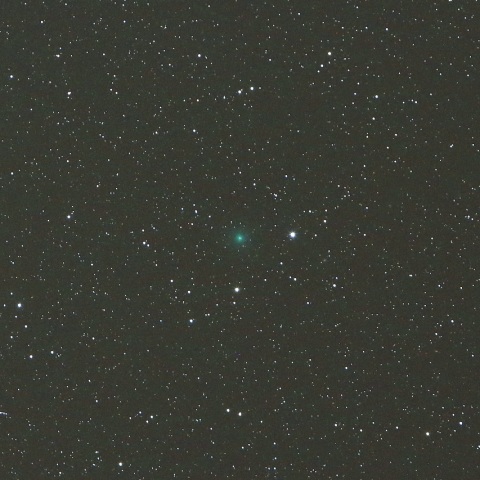 1/14未明 岩本彗星（C/2018 Y1）