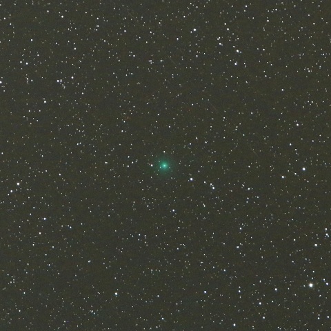 1/18未明 岩本彗星（C/2018 Y1）