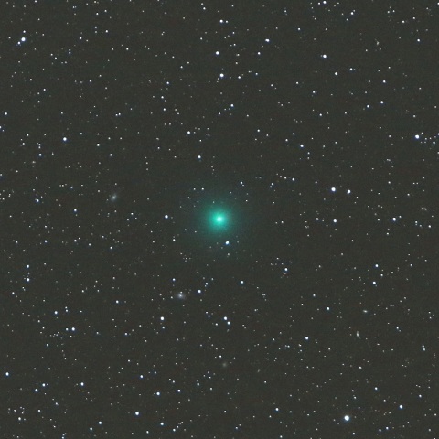 2/5未明 岩本彗星（C/2018 Y1）