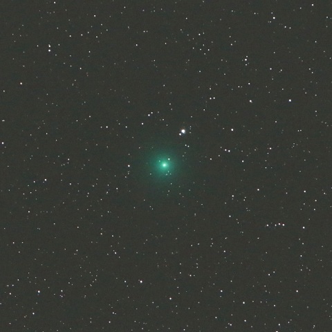 2/8未明 岩本彗星（C/2018 Y1）