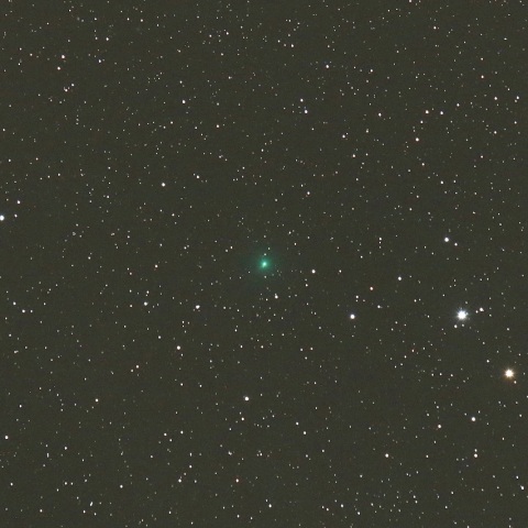 3/20 初見初撮りのアトラス彗星（C/2019 Y4）その2