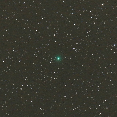 3/25 アトラス彗星（C/2019 Y4）