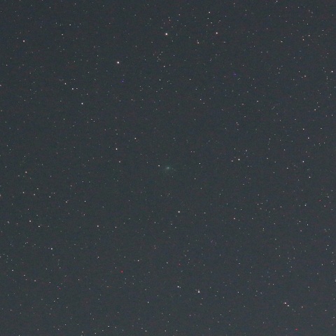 4/2 月夜のアトラス彗星（C/2019 Y4）