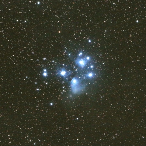 11/5未明 M45すばる（プレアデス星団）