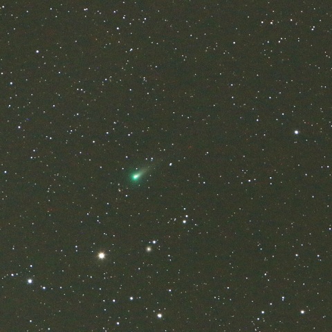 11/16未明 初見初撮りのレナード彗星（C/2021 A1）